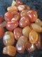 Carnelian