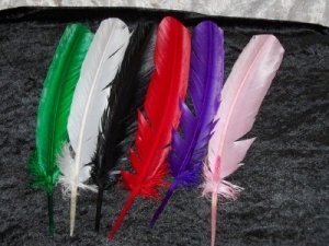 Wiccan Feathers