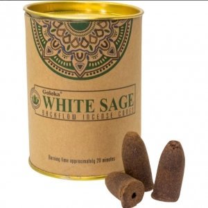Goloka Backflow Cones Can of 24 White Sage